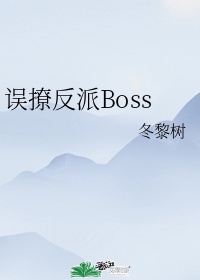 误撩反派Boss