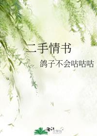 二手情书by寒菽百度网盘