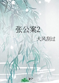 张公案2