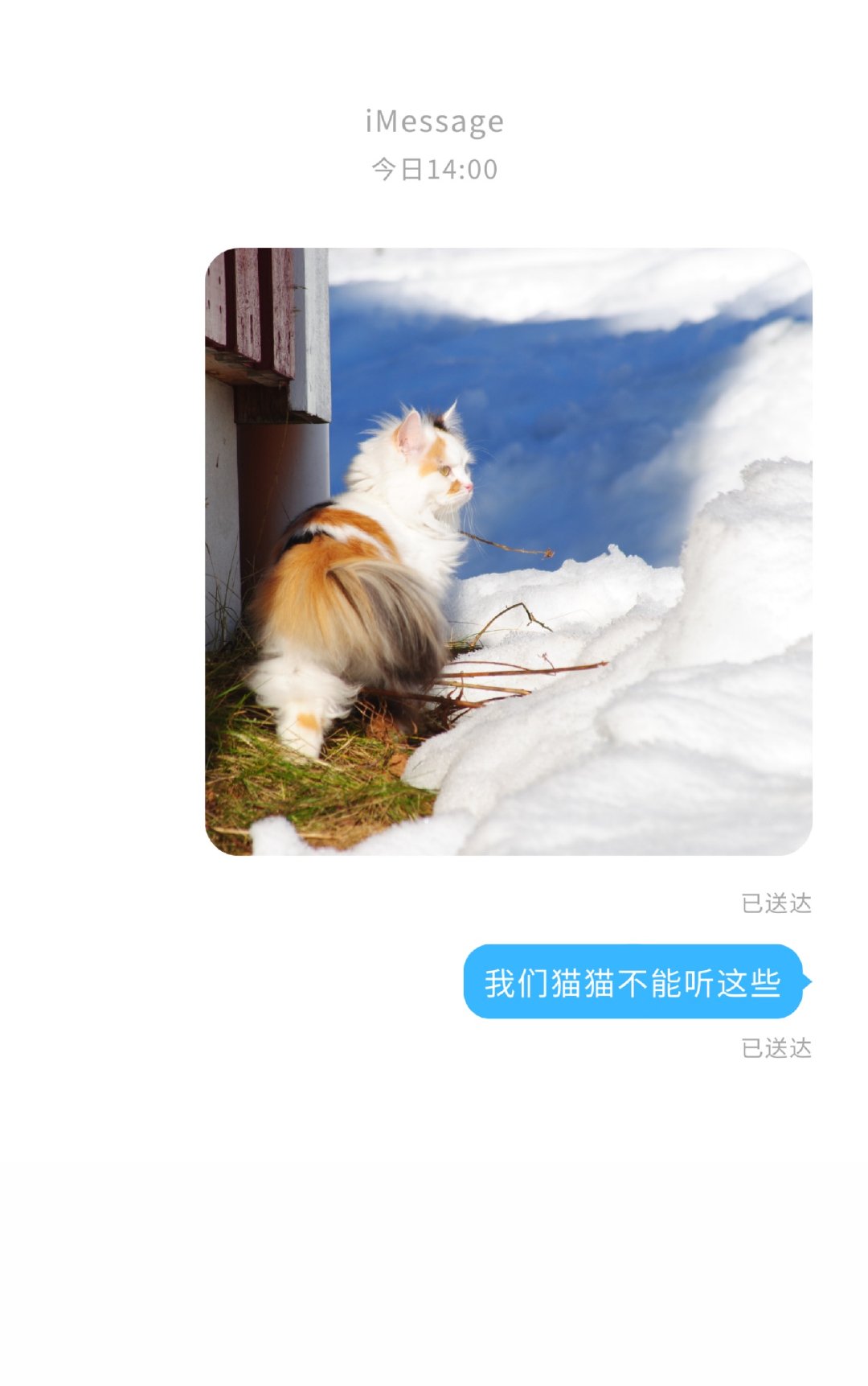 我们猫猫不能听这些晋江