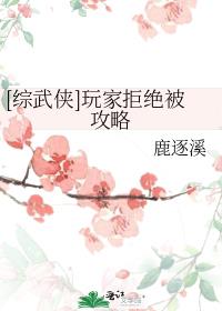 [综武侠]玩家拒绝被攻略