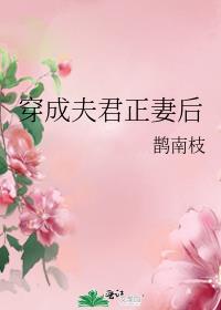 穿成夫君正妻后