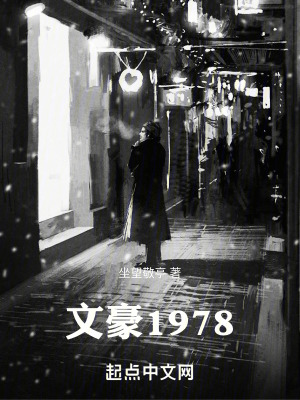 文豪1978八零电子书