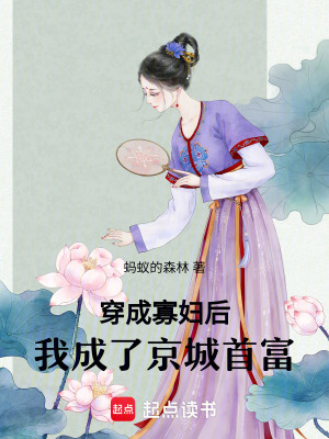 穿成寡妇后,我成了京城首富