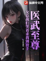 美女总裁之医武高手 小说