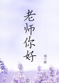 老师,你好 小说