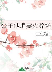 公子他追妻火葬场